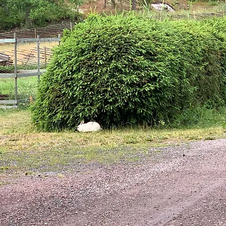 Lomahyppaeys Naantali